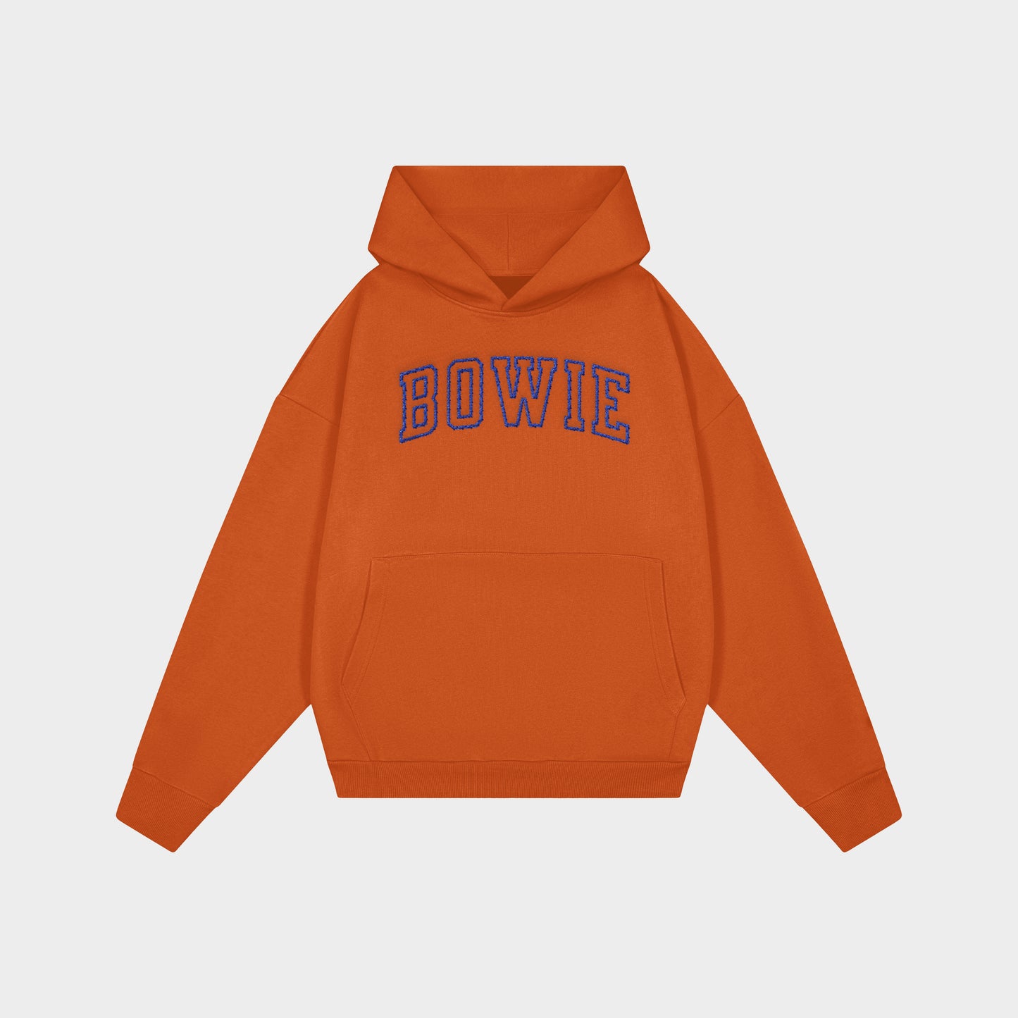 BOWIE S.I.W.Y.C. HOODIE